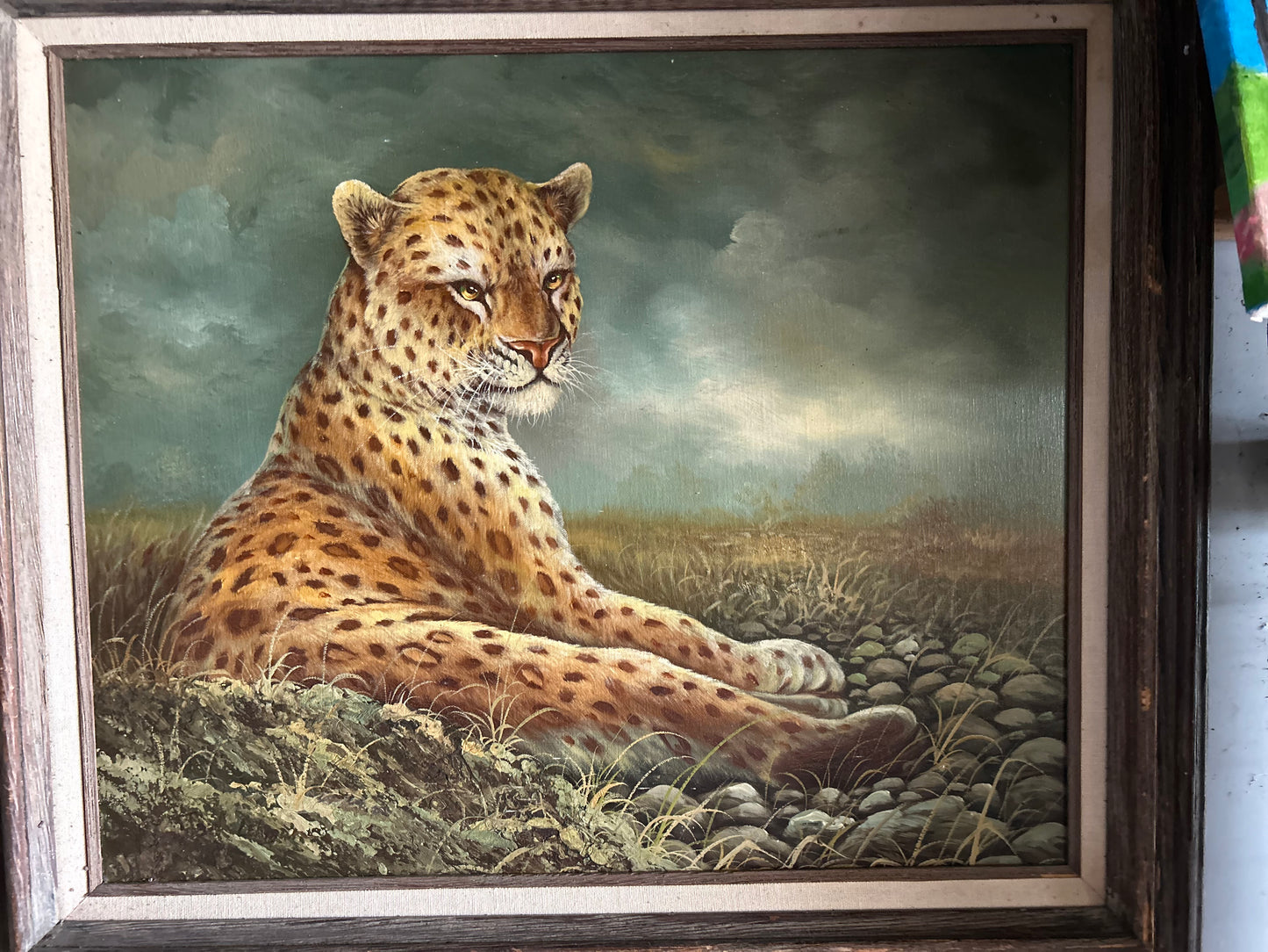 cheetah painting